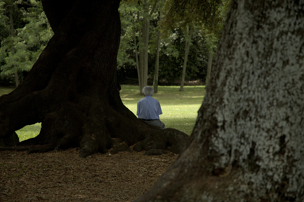 Solitudine