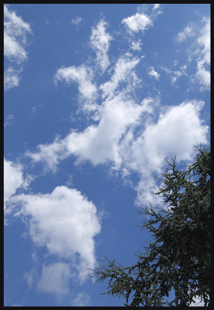 CIELO
