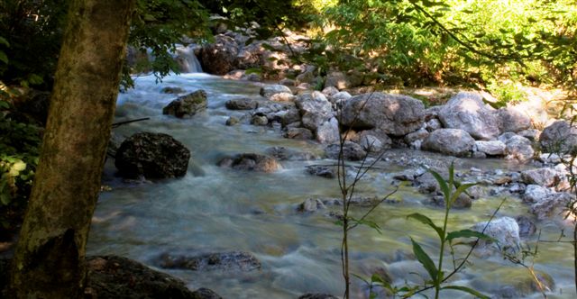 Fresche acque