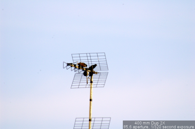 Prove 80-400