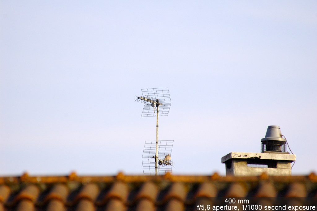 Prove 80-400