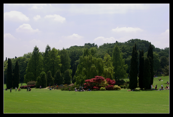 picnic