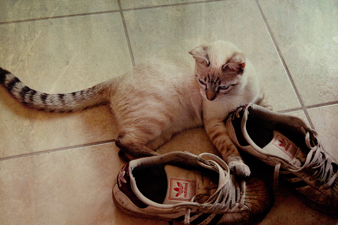 Scarpe
