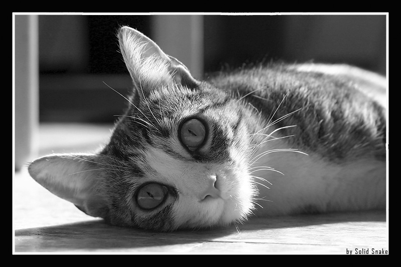 Che caldo...!!!