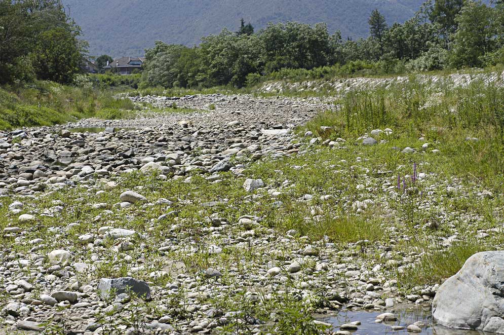"fiume"...Sangone