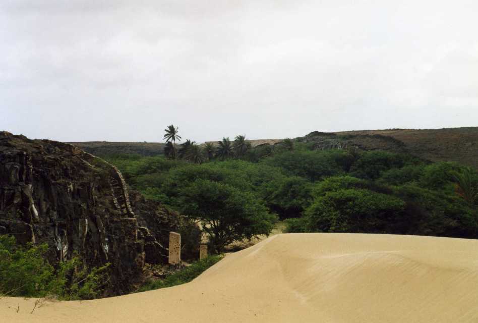 OASI