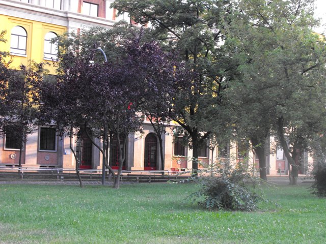 studi 2