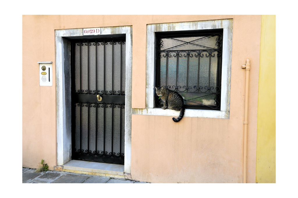 Il guardiano del 6029