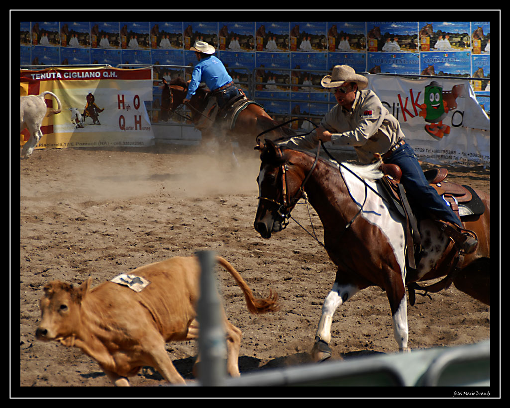Cowboy
