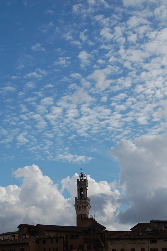 Siena [1]