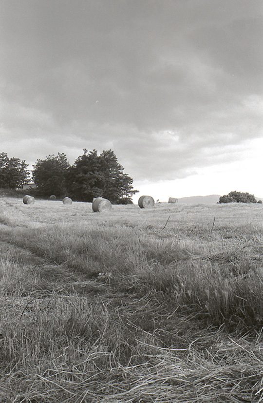 campagna