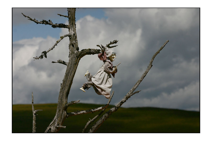 strega