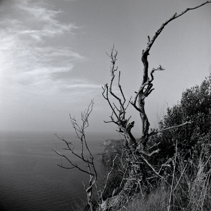 Y124G-Ventotene_001