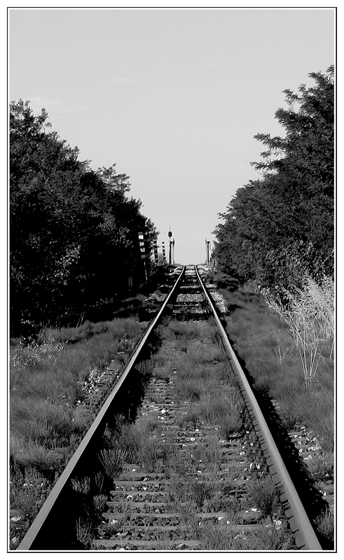 Rotaie verso...