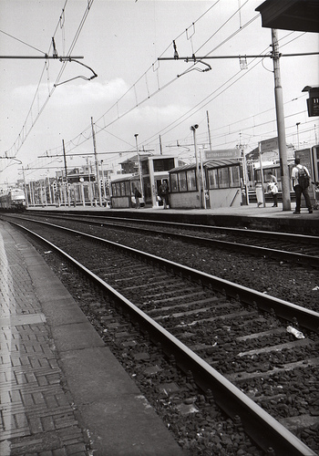 Rotaie