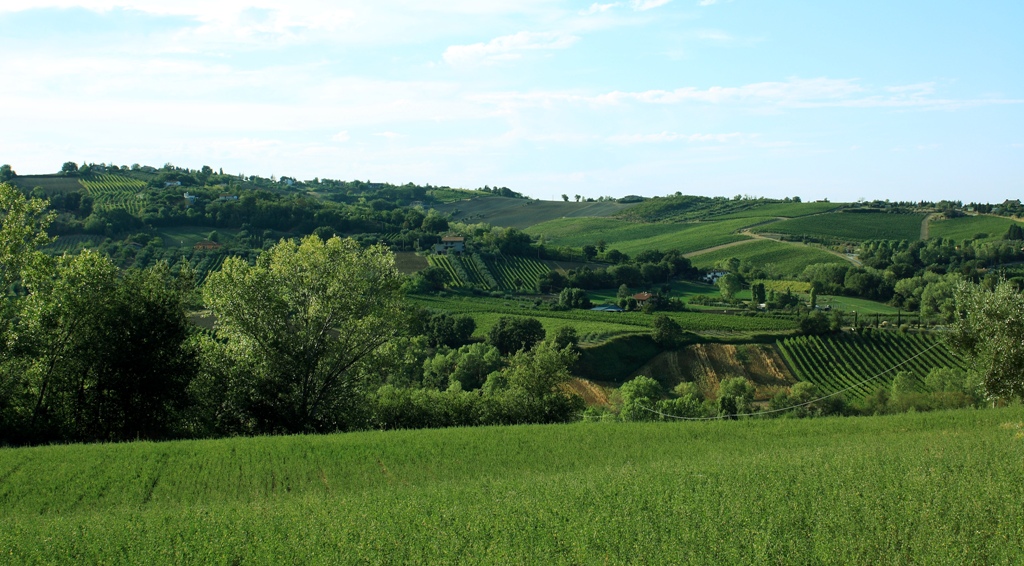 Un verde rilassante