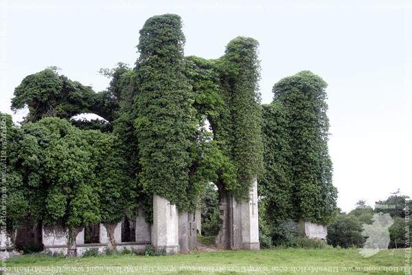 Castello di Moydrum
