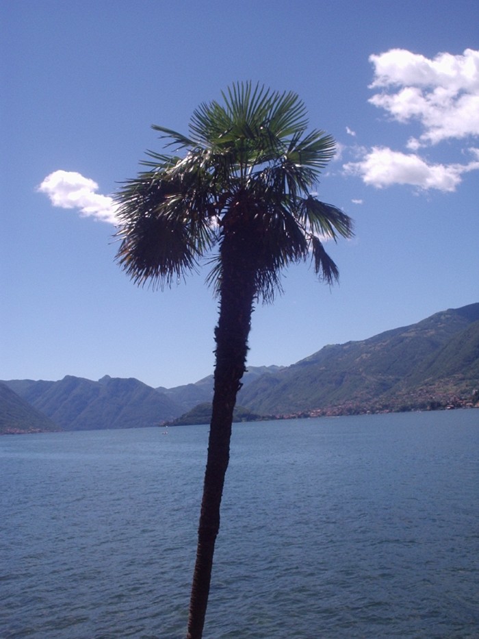 sembrano cartoline ma sono foto