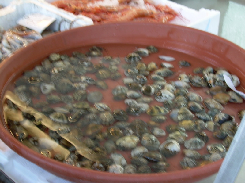 MERCATO DEL PESCE