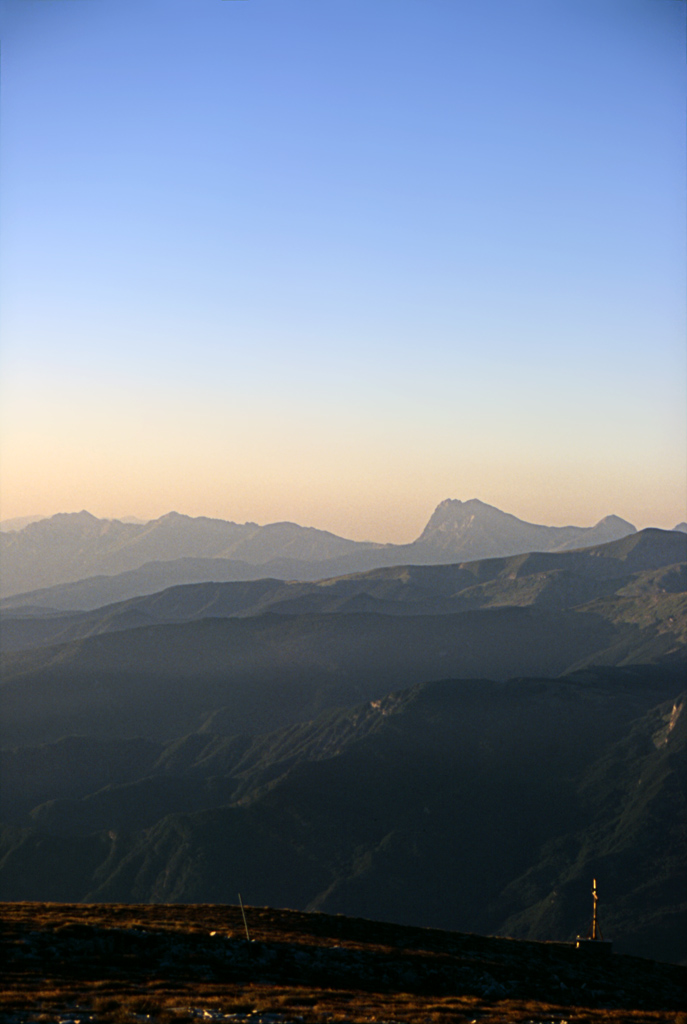 Vettore 03