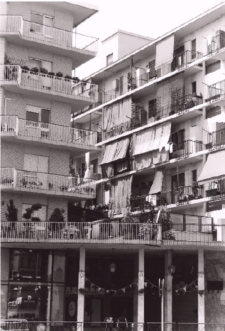 Giungla d'asfalto