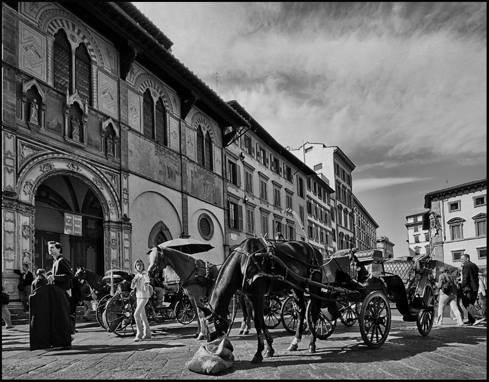 Firenze, carrozze e cavalli
