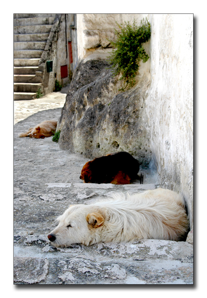 ...siesta...