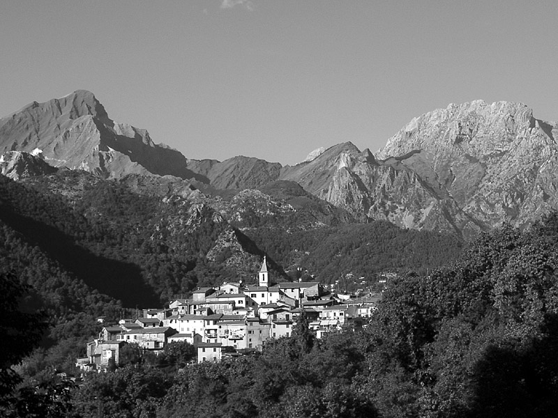 Pariana