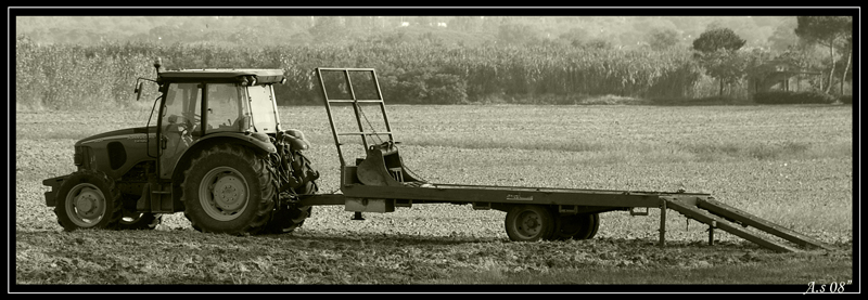 Gran Lavoratore