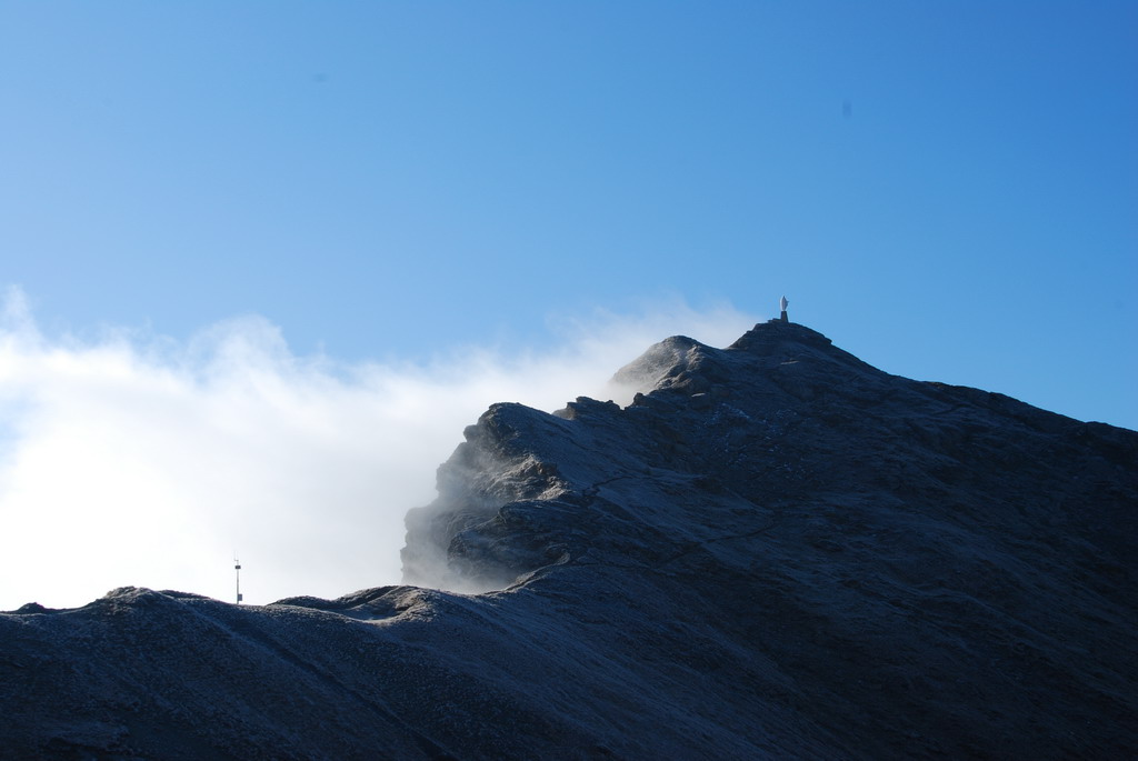 fredda diagonale