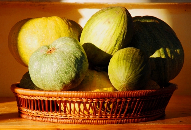 zucche, meloni e zucchine