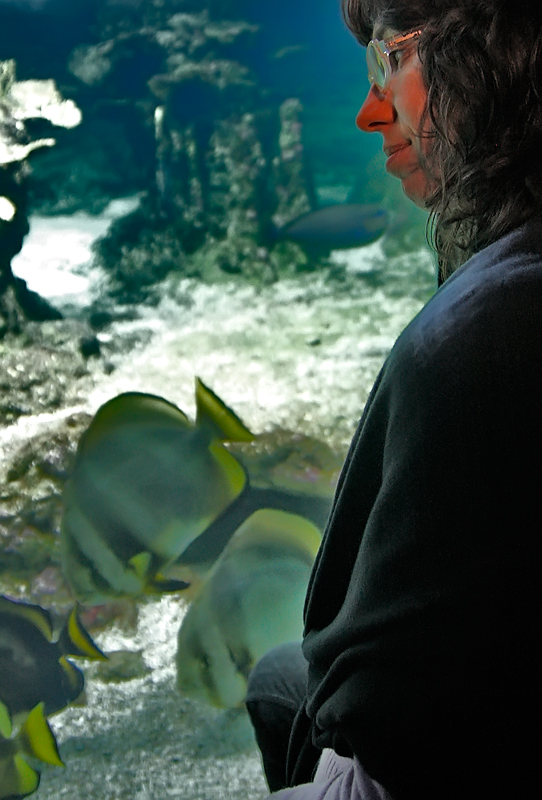 l'acquario 1