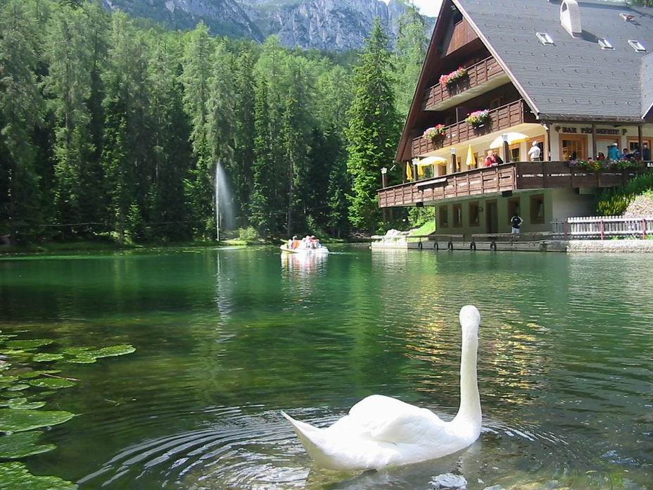 LO SGUARDO DEL CIGNO