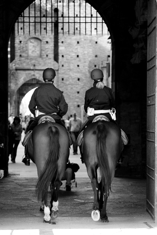 cavalli
