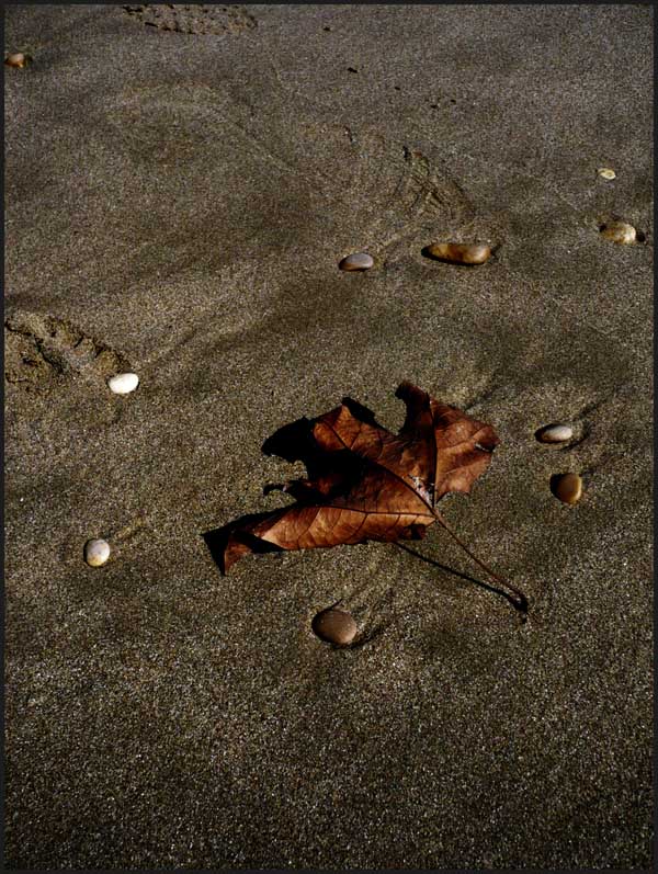 autunno
