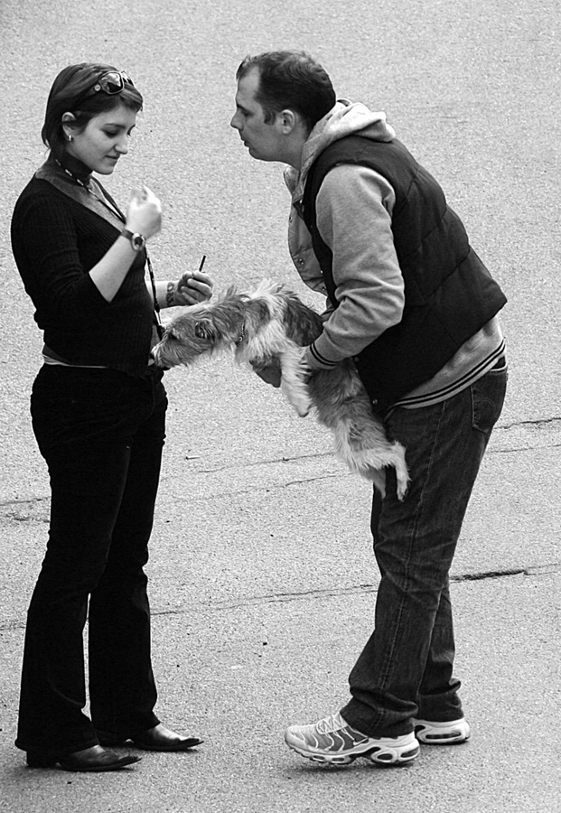 cane succhiatore