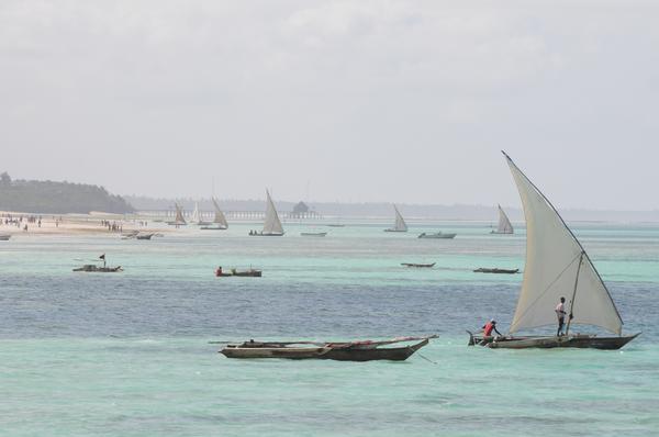 Zanzibar 2oo8