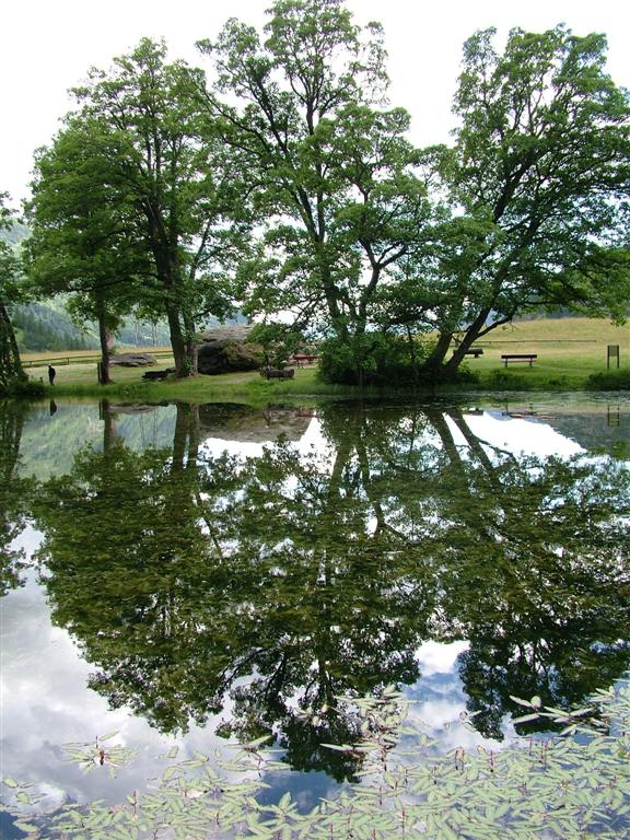 Lago loz