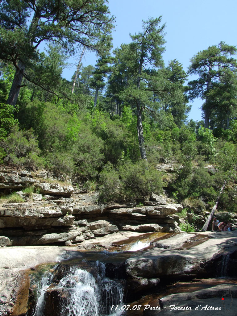 Acqua nella foresta