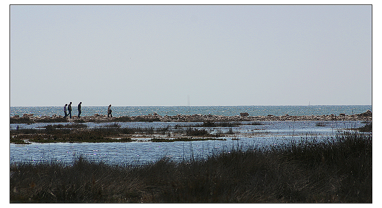 [Toscana] Parco della Maremma