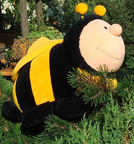 ape