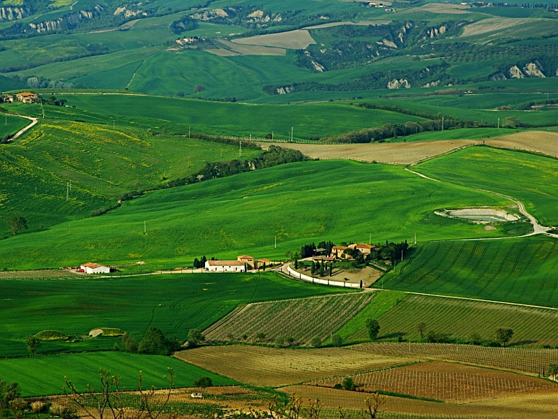 Campagna pisana