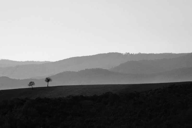 Soli