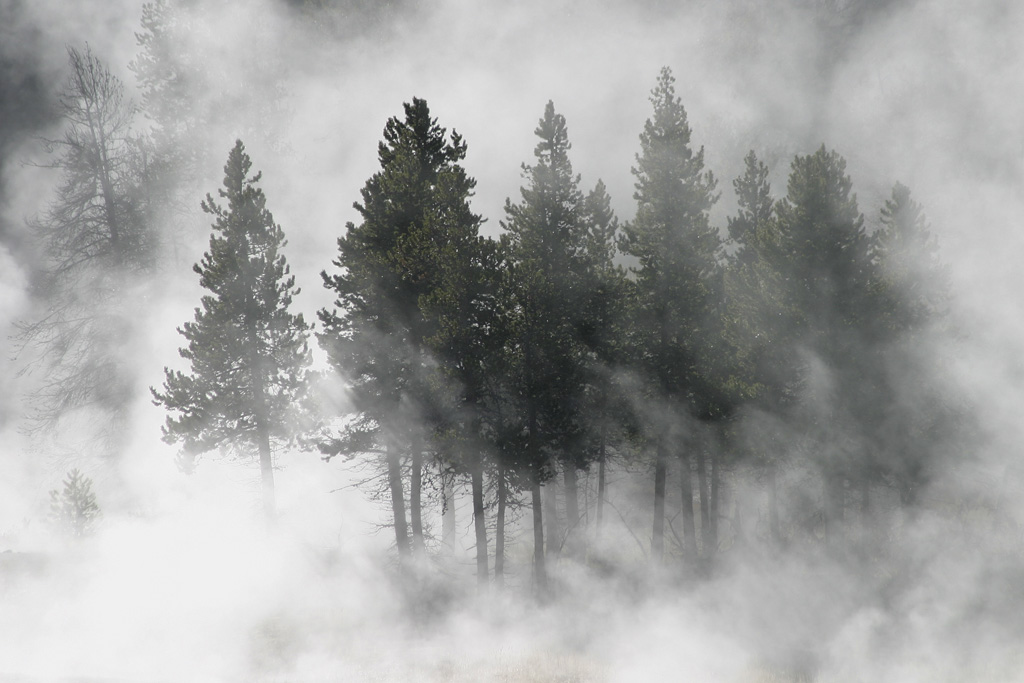 Firehole Lake Drive