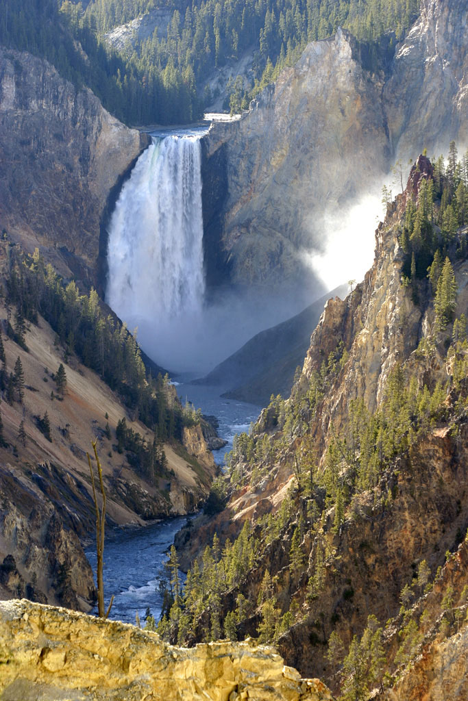 Grand Canyon Yellowstone