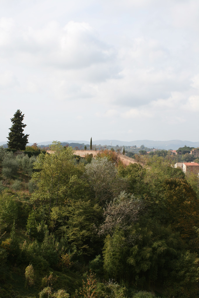velluto verde