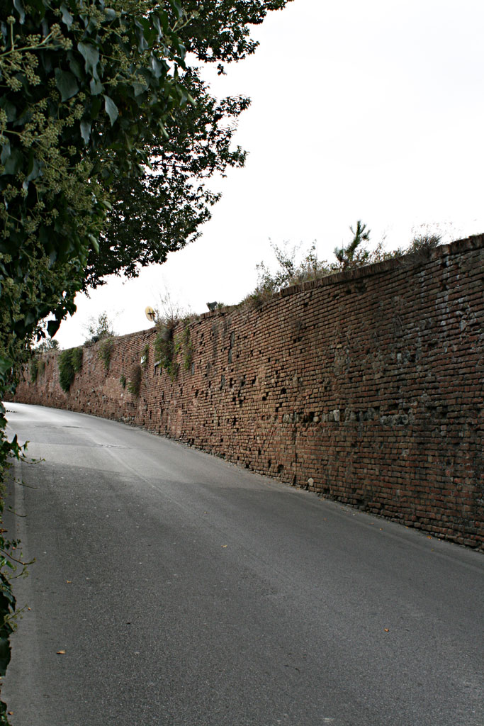 Curva