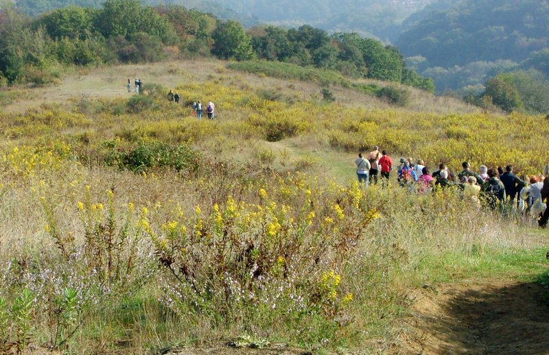 carovana autunnale