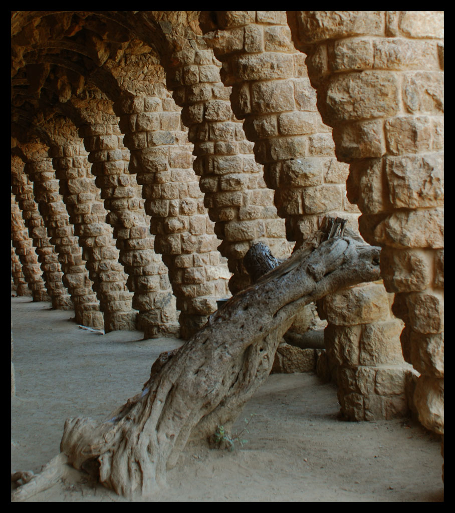 braccio di ferro