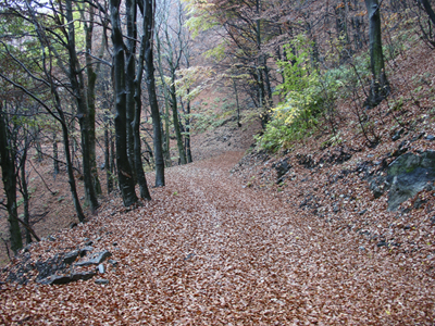 Autunno